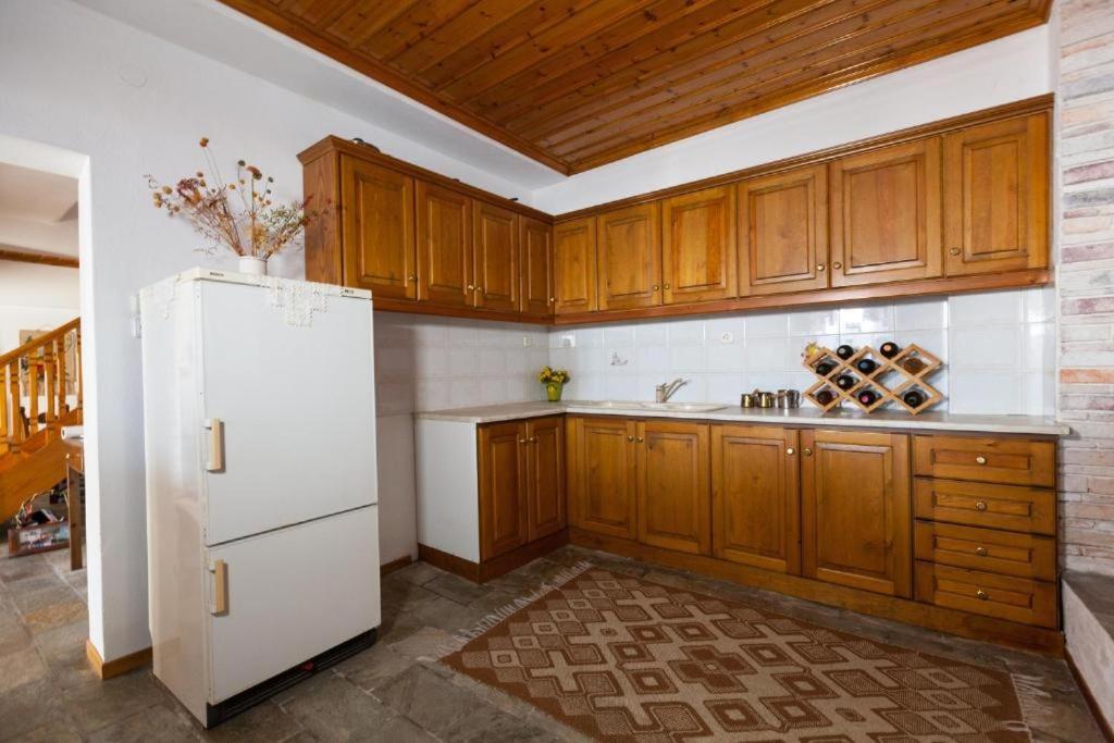 Eremia Rustic House - Entire Villa In Pelion マクリニツァ エクステリア 写真
