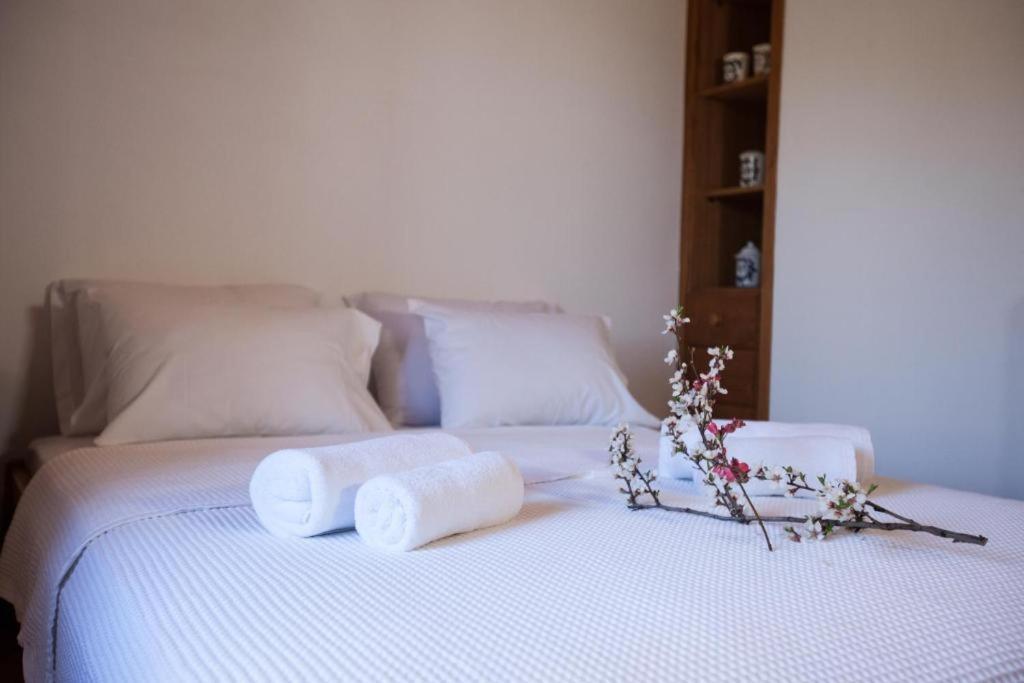 Eremia Rustic House - Entire Villa In Pelion マクリニツァ エクステリア 写真
